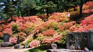 舞鶴山つつじ公園