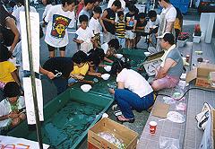 ����������